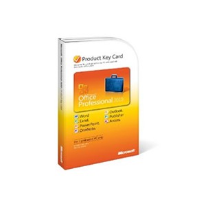 Microsoft Office 2010 Professional (Product Key Card - No Media)